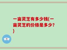 一亩灵芝有多少钱(一亩灵芝的价格是多少？)