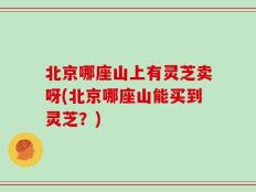 北京哪座山上有灵芝卖呀(北京哪座山能买到灵芝？)