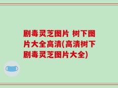 剧毒灵芝图片 树下图片大全高清(高清树下剧毒灵芝图片大全)