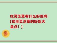 吃灵芝草有什么好处吗(食用灵芝草的好处大盘点！)