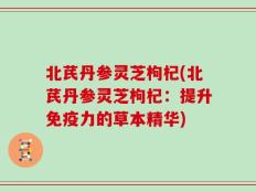 北芪丹参灵芝枸杞(北芪丹参灵芝枸杞：提升免疫力的草本精华)