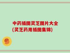 中药插图灵芝图片大全(灵芝药用插图集锦)