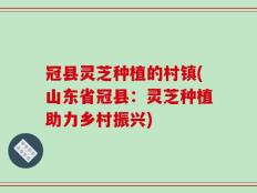 冠县灵芝种植的村镇(山东省冠县：灵芝种植助力乡村振兴)