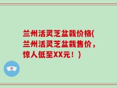 兰州活灵芝盆栽价格(兰州活灵芝盆栽售价，惊人低至XX元！)