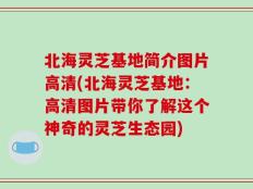 北海灵芝基地简介图片高清(北海灵芝基地：高清图片带你了解这个神奇的灵芝生态园)