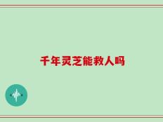千年灵芝能救人吗