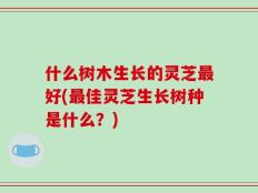 什么树木生长的灵芝最好(最佳灵芝生长树种是什么？)