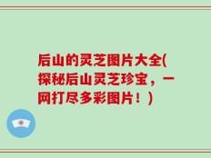后山的灵芝图片大全(探秘后山灵芝珍宝，一网打尽多彩图片！)