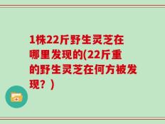 1株22斤野生灵芝在哪里发现的(22斤重的野生灵芝在何方被发现？)