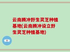 云南腾冲野生灵芝种植基地(云南腾冲设立野生灵芝种植基地)