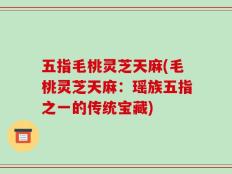 五指毛桃灵芝天麻(毛桃灵芝天麻：瑶族五指之一的传统宝藏)