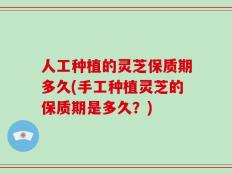 人工种植的灵芝保质期多久(手工种植灵芝的保质期是多久？)