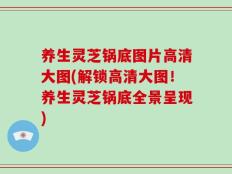养生灵芝锅底图片高清大图(解锁高清大图！养生灵芝锅底全景呈现)