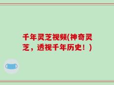 千年灵芝视频(神奇灵芝，透视千年历史！)