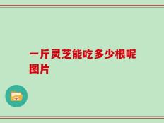 一斤灵芝能吃多少根呢图片