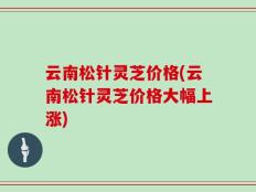 云南松针灵芝价格(云南松针灵芝价格大幅上涨)