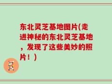 东北灵芝基地图片(走进神秘的东北灵芝基地，发现了这些美妙的照片！)