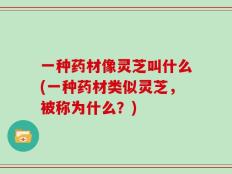 一种药材像灵芝叫什么(一种药材类似灵芝，被称为什么？)