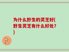 为什么野生的灵芝好(野生灵芝有什么好处？)