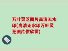 万叶灵芝图片高清无水印(高清无水印万叶灵芝图片供欣赏)
