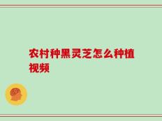 农村种黑灵芝怎么种植视频