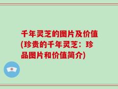 千年灵芝的图片及价值(珍贵的千年灵芝：珍品图片和价值简介)