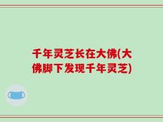 千年灵芝长在大佛(大佛脚下发现千年灵芝)