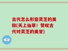 古代怎么形容灵芝的美称(天上仙草！赞叹古代对灵芝的美誉)