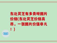东北灵芝有多贵呀图片价格(东北灵芝价格高昂，一张图片价值非凡！)