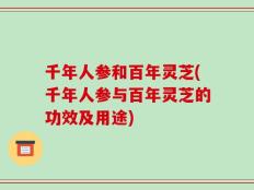 千年人参和百年灵芝(千年人参与百年灵芝的功效及用途)
