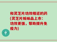 和灵芝片功效相近的药(灵芝片姊妹品上市：功效更强，帮助提升免疫力)