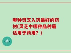 哪种灵芝入药最好的药材(灵芝中哪种品种最适用于药用？)