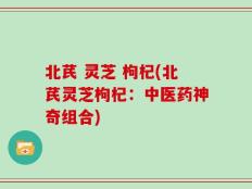 北芪 灵芝 枸杞(北芪灵芝枸杞：中医药神奇组合)