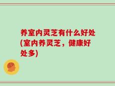 养室内灵芝有什么好处(室内养灵芝，健康好处多)