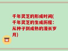 千年灵芝的形成时间(千年灵芝的生成历程：从种子到成熟的漫长岁月)