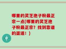 哪里的灵芝孢子粉最正宗一点(哪里的灵芝孢子粉最正宗？找到靠谱的渠道！)