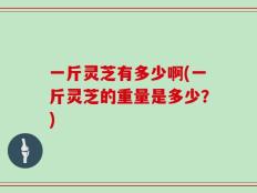 一斤灵芝有多少啊(一斤灵芝的重量是多少？)