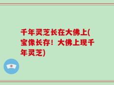 千年灵芝长在大佛上(宝像长存！大佛上现千年灵芝)