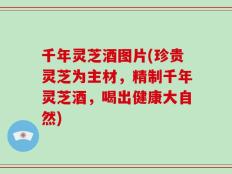 千年灵芝酒图片(珍贵灵芝为主材，精制千年灵芝酒，喝出健康大自然)