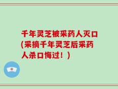 千年灵芝被采药人灭口(采摘千年灵芝后采药人杀口悔过！)