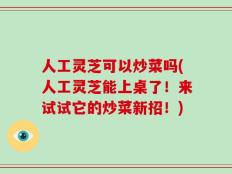 人工灵芝可以炒菜吗(人工灵芝能上桌了！来试试它的炒菜新招！)