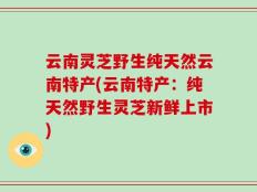 云南灵芝野生纯天然云南特产(云南特产：纯天然野生灵芝新鲜上市)