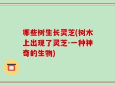 哪些树生长灵芝(树木上出现了灵芝-一种神奇的生物)