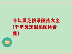 千年灵芝根系图片大全(千年灵芝根系图片合集)