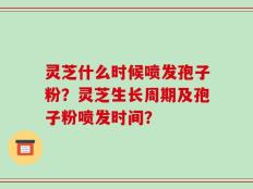 灵芝什么时候喷发孢子粉？灵芝生长周期及孢子粉喷发时间？