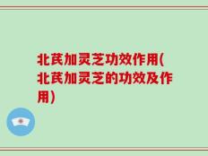 北芪加灵芝功效作用(北芪加灵芝的功效及作用)