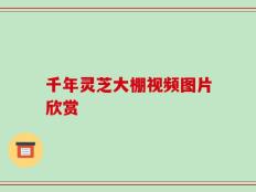 千年灵芝大棚视频图片欣赏