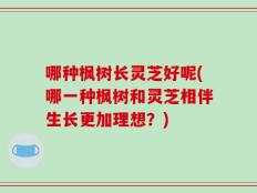 哪种枫树长灵芝好呢(哪一种枫树和灵芝相伴生长更加理想？)
