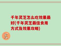 千年灵芝怎么吃效果最好(千年灵芝最佳食用方式及效果攻略)