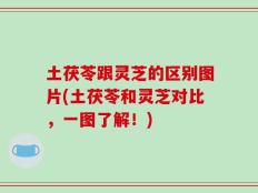 土茯苓跟灵芝的区别图片(土茯苓和灵芝对比，一图了解！)